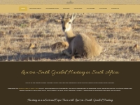 Hunting in South Africa - Guided Hunting
