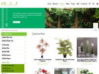 China Artificial Plant Suppliers, Manufacturers, Factory - Wholesale C