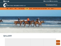 Horseback Riding   Rides in Amelia Island FL | Happy Trails Walking Ho