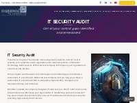   	IT Security Audits | Comprehensive Cybersecurity Assessments - HCLL