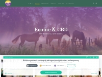Equine CBD Testimonials and Case Studies