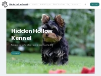 Hidden Hollow Kennel | Dog Breeder VA