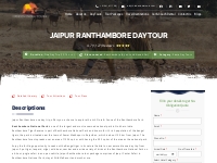 Jaipur Ranthambore Day Tour - Hidden India Tours