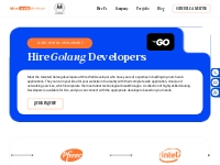 Hire Web Developer: Golang Developer