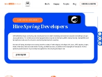 Hire Web Developer: Spring Developer