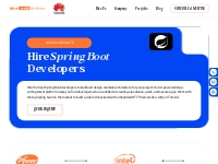 Hire Web Developer: Spring Boot Developer