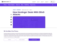 How Hostinger Deals With DDoS Attacks