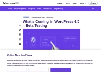 What s Coming in WordPress 6.5