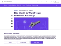 This Month in WordPress: November Roundup