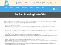 Elephant Breeding Center Visit in Sauraha | Hotel Ama Garden