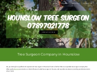 Tree Surgeon Company | Tree Specialist | Hounslow ENG