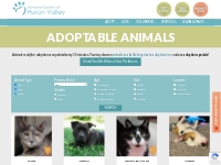 Pet Adoptions - Humane Society of Huron Valley - Ann Arbor
