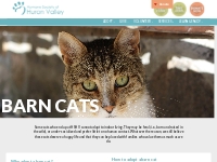 Free Barn Cat Adoptions - Humane Society of Huron Valley