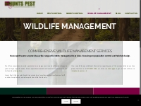Wildlife Management Services In Peterborough, Royston, St Ives   Sawtr