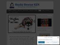 Husky Rescue KZN   Husky Rescue KZN rescues stray and unwanted Huskies