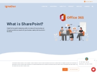 Microsoft Sharepoint Consulting Services - Ignatiuz