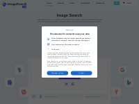 Image Search - Search by Image to Find Similar Photos Online