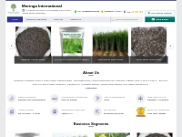 MORINGA SEEDS and Fodder Seeds Manufacturer | Moringa International, V