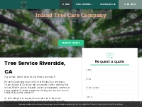       Inland Tree Care Company | Tree Services in Riverside County, CA