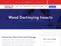 Wood Destroying Insects Testing | Inspection Professionals