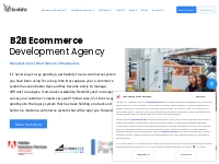 B2B Ecommerce Development Agency - Dallas