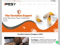 Top Expert Pest Control in Singapore 2024 | iPest Saves Your Home