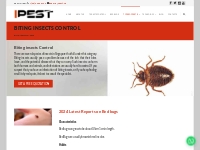 Biting Insects Control Singapore - iPest Management