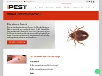 Biting Insects Control Singapore - iPest Management