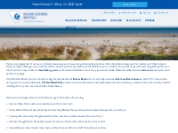 Pet Friendly Rentals on Hilton Head | Island Getaway Rentals