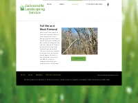 Full Site and Brush Removal | JacksonvilleLandServ