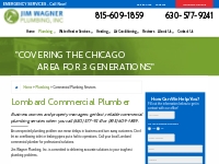 Lombard Commercial Plumbing Services   Industrial Plumber Contractor