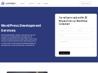WordPress Development Services - Hire WordPress Developer