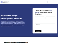 WordPress Plugin Development Services - Hire WP Developers