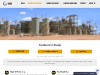 Carbon in Pulp -