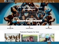 K9Stud - Find Puppies for Sale, Stud Dogs, and Dog Breeders