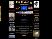 K9 Training  The Dog Training Professionals  Dog training school
