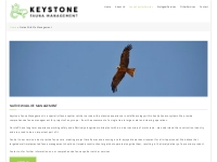 Native Wildlife Management - Keystone Fauna Management