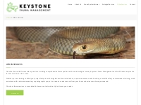 Other Services - Keystone Fauna Management
