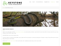 Snake Catcher Services - Keystone Fauna Management