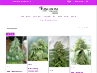 Strains - Kingdom Organic Seeds