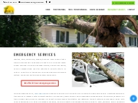 Emergency Tree Services | Kings Tree Service | San Diams | La Verne