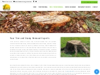 Tree Removal | Stump Grinding | San Dimas | La Verne | Chino Hills