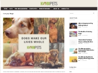 Dogs - Kobi Pets
