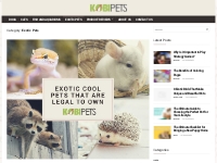 Exotic Pets - Kobi Pets