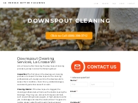 Downspout Cleaning La Crosse, Wisconsin - La Crosse Gutter Cleaning
