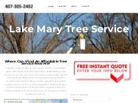 Lake Mary, FL Tree Service | Tree Removal - Home