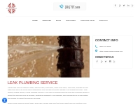 Leak Plumbing Service | Expert Repairs and Reliable Fixes