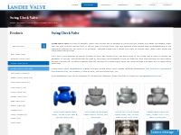 China Swing Check Valve Manufacturer - Landee