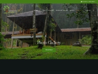 Collection of Lush Photo gallery of LanternStay | Wayanad Resort