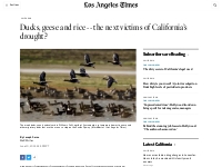 Ducks, geese and rice -- the next victims of California's drought